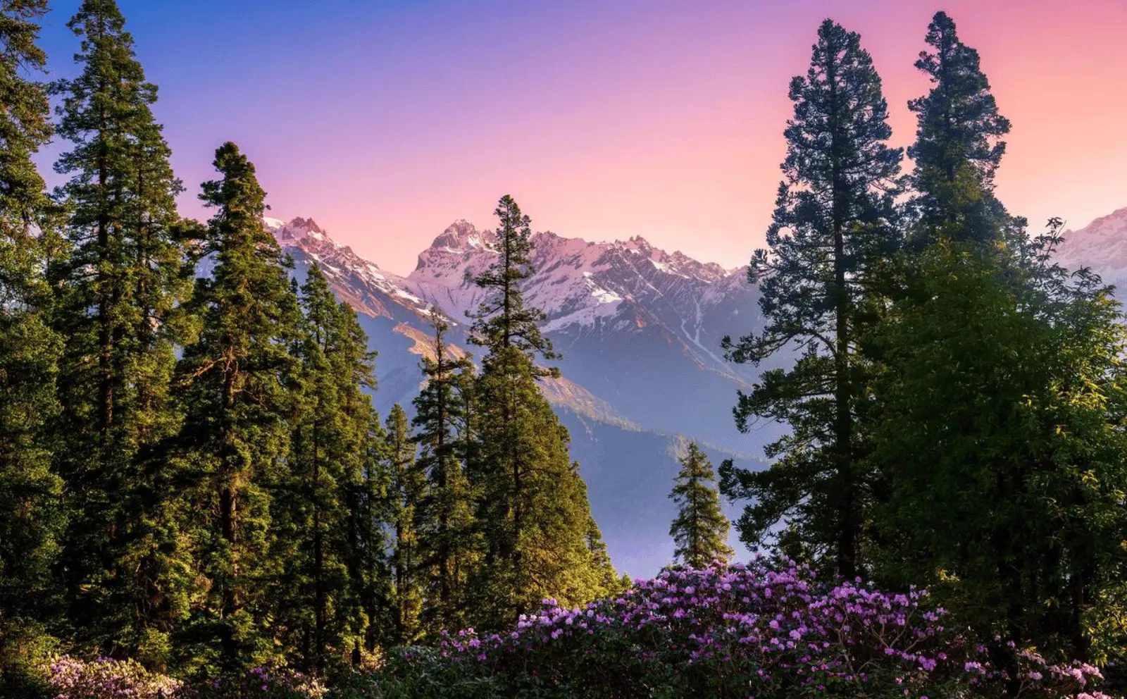 Sar Pass trek in Himachal Pradesh, offering breathtaking mountain landscapes.